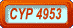 CYP 4953